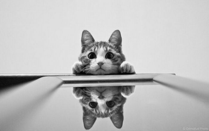 Acid Picdump (89 pics)