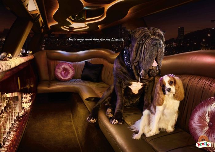 Advertisements by Clive Stewart (87 pics)
