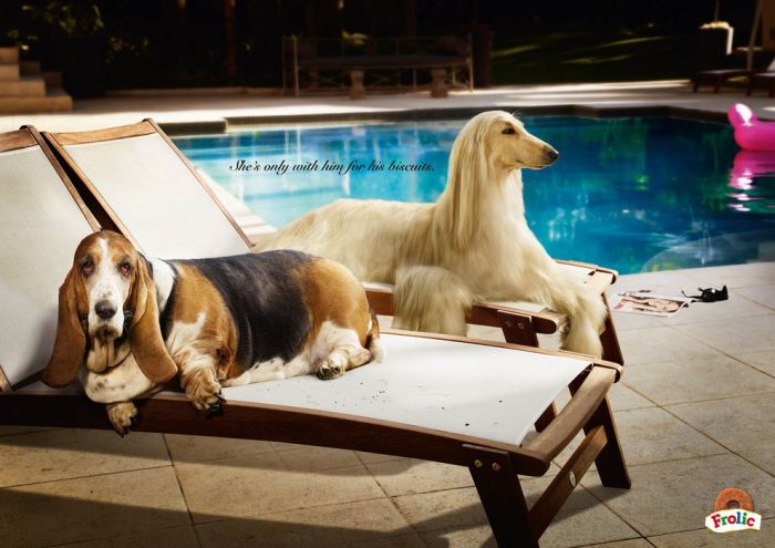 Advertisements by Clive Stewart (87 pics)