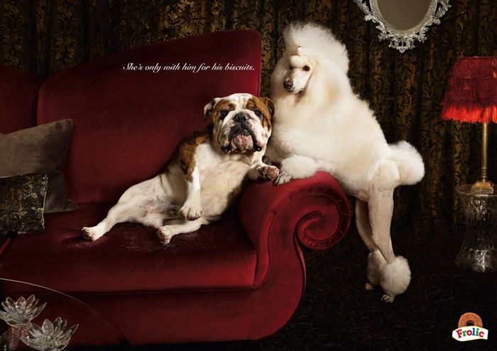 Advertisements by Clive Stewart (87 pics)