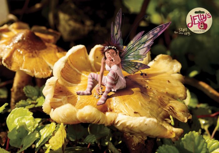 Advertisements by Clive Stewart (87 pics)