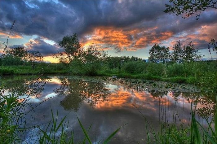 Beautiful Reflections in Water (37 pics)