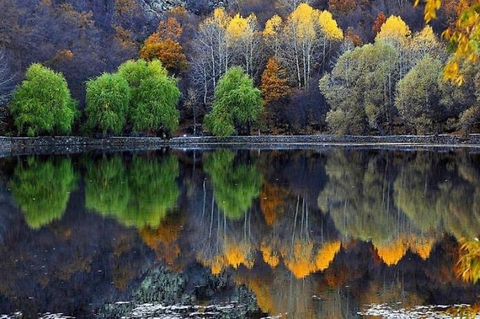 Beautiful Reflections in Water (37 pics)