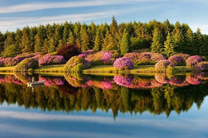 Beautiful Reflections in Water (37 pics)