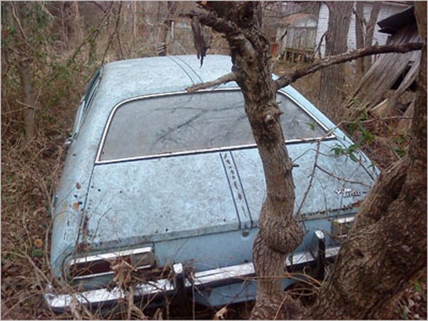 How to Cook Bacon on a Ford Pinto (29 pics)