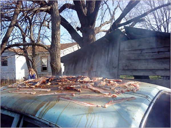 How to Cook Bacon on a Ford Pinto (29 pics)