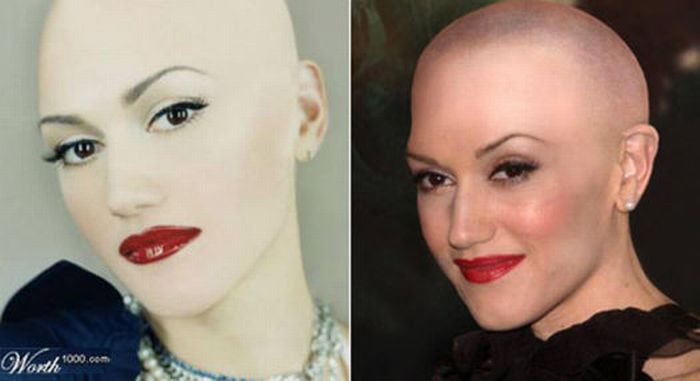 Bald Celebrities (20 pics) Bald Celebrities (20 pics)