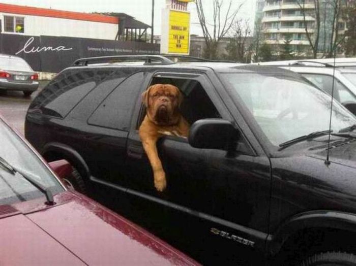 Acid Picdump (94 pics)