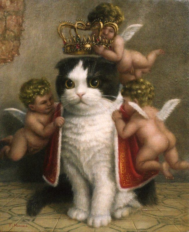 Acid Picdump (94 pics)