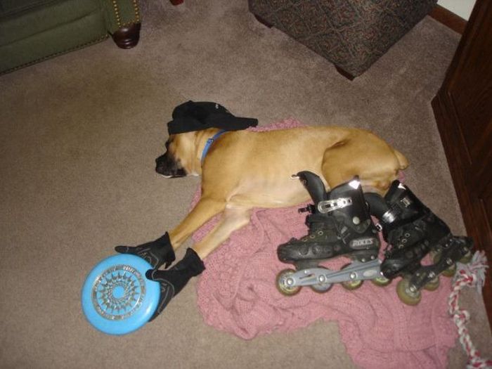 Acid Picdump (94 pics)
