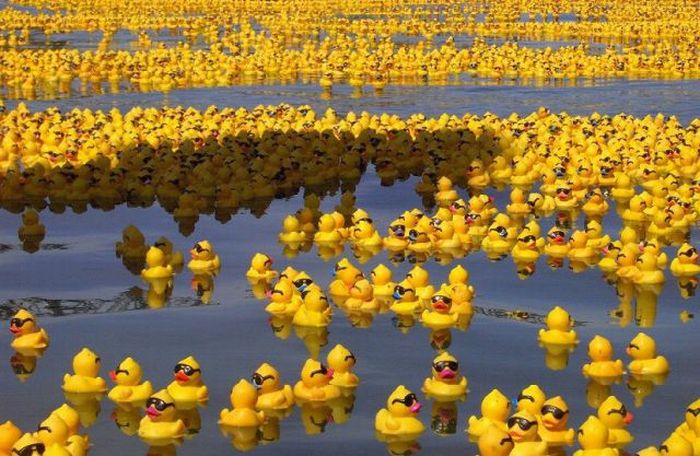 Acid Picdump (94 pics)