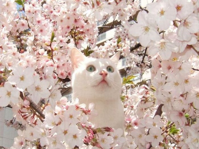Acid Picdump (94 pics)