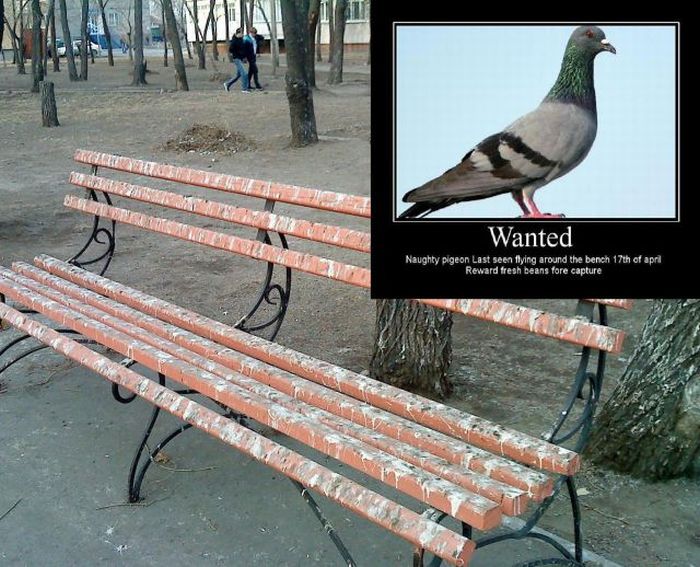 Acid Picdump (94 pics)
