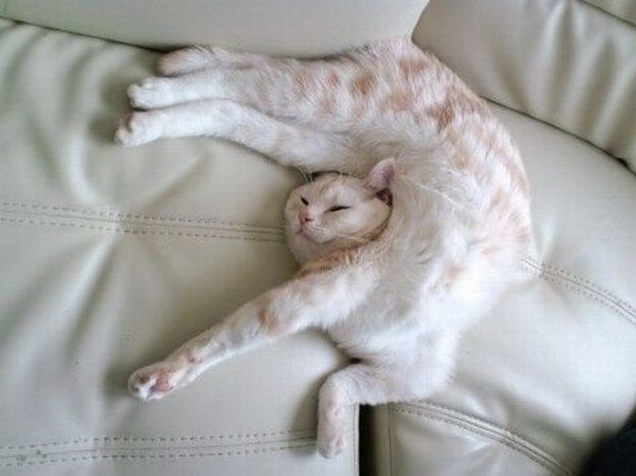 Acid Picdump (94 pics)