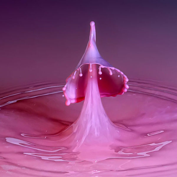 High-Speed Photography of Water Drops (16 pics)