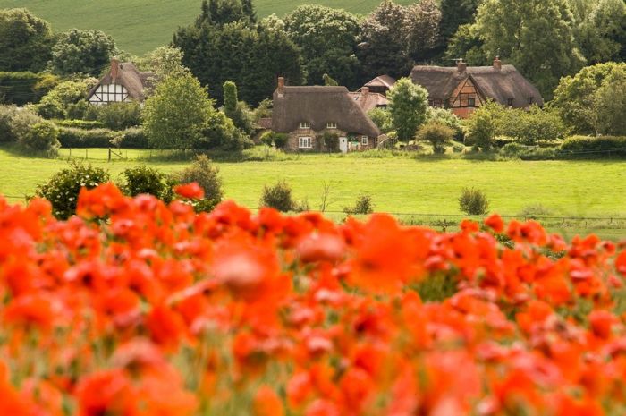 English Houses with Beautiful Roofs (55 pics)