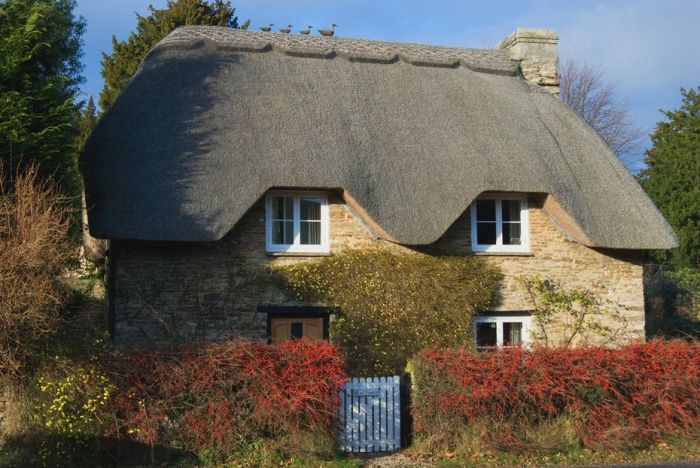English Houses with Beautiful Roofs (55 pics)
