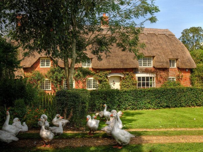 English Houses with Beautiful Roofs (55 pics)