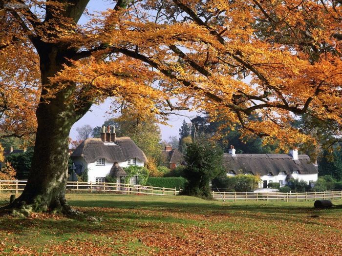 English Houses with Beautiful Roofs (55 pics)