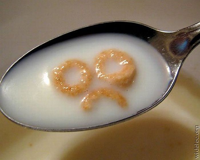 Food Photos (163 pics)