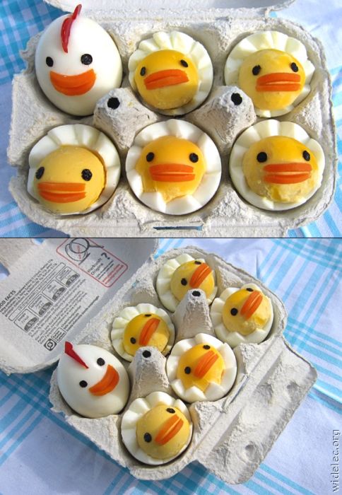 Food Photos (163 pics)