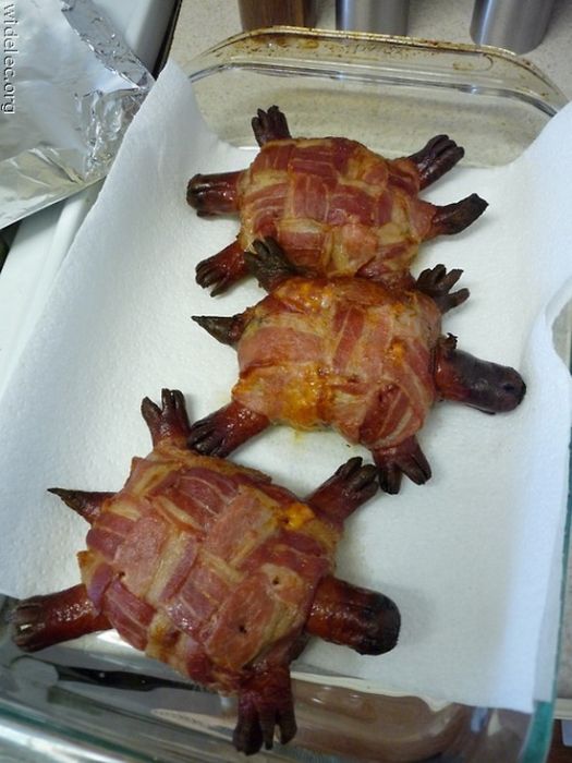 Food Photos (163 pics)