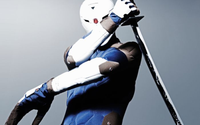 Amazing Grey Fox Cosplay Costume (36 pics)