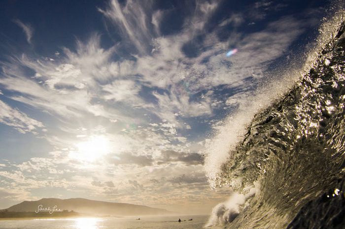 Amazing Surfing Photos (39 pics)