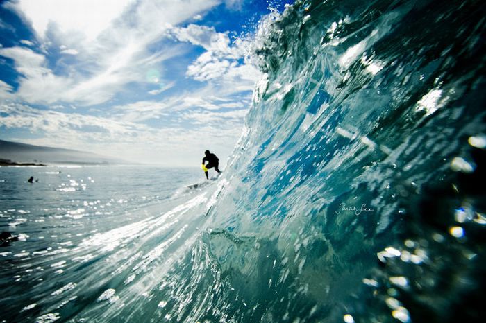 Amazing Surfing Photos (39 pics)