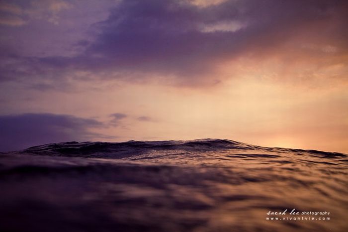 Amazing Surfing Photos (39 pics)