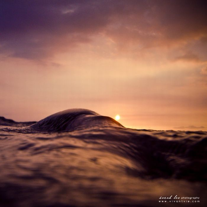 Amazing Surfing Photos (39 pics)