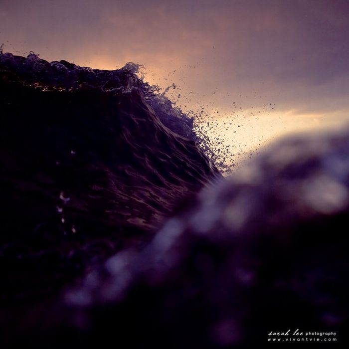 Amazing Surfing Photos (39 pics)