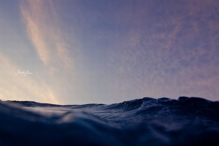 Amazing Surfing Photos (39 pics)