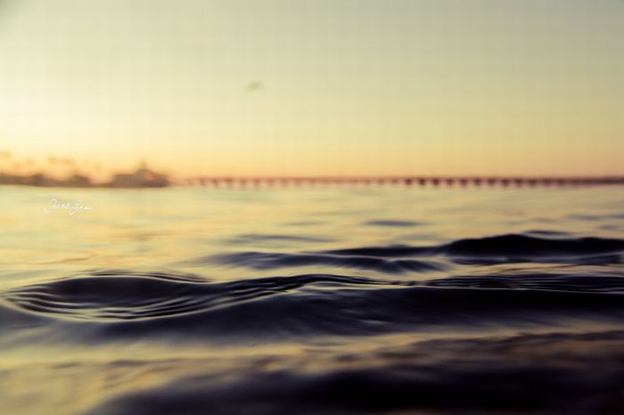 Amazing Surfing Photos (39 pics)