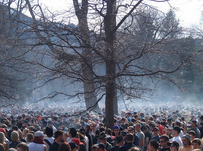 The University Of Colorado At Boulder On 420 (24 pics)