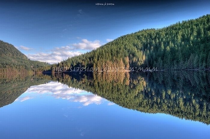 Beautiful Reflections (60 pics)