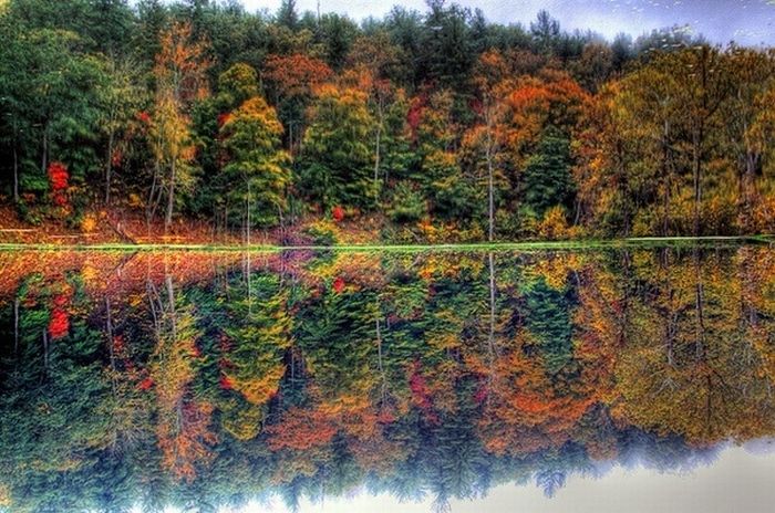 Beautiful Reflections (60 pics)