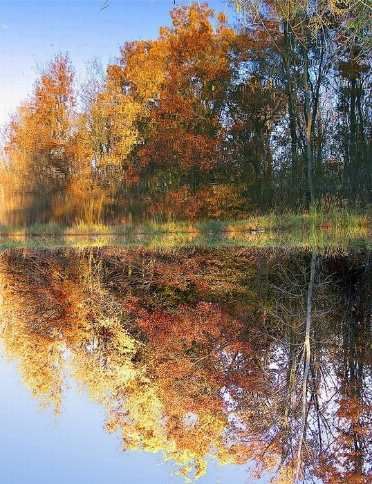 Beautiful Reflections (60 pics)