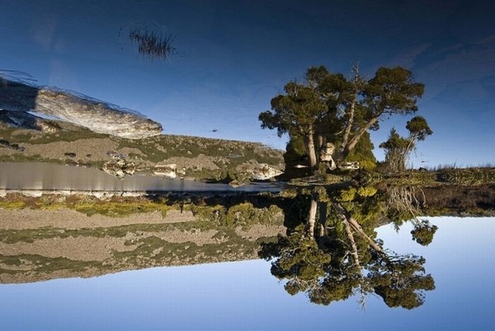 Beautiful Reflections (60 pics)