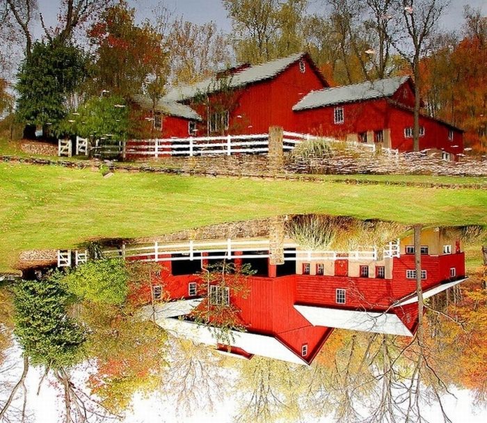 Beautiful Reflections (60 pics)