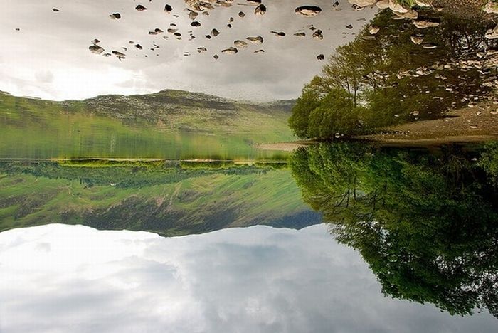 Beautiful Reflections (60 pics)