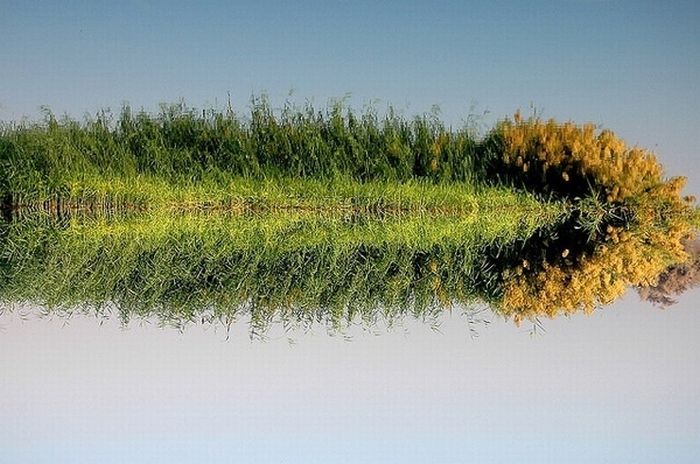 Beautiful Reflections (60 pics)