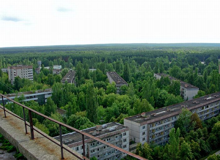 Chernobyl. 25 Years Later (50 pics)
