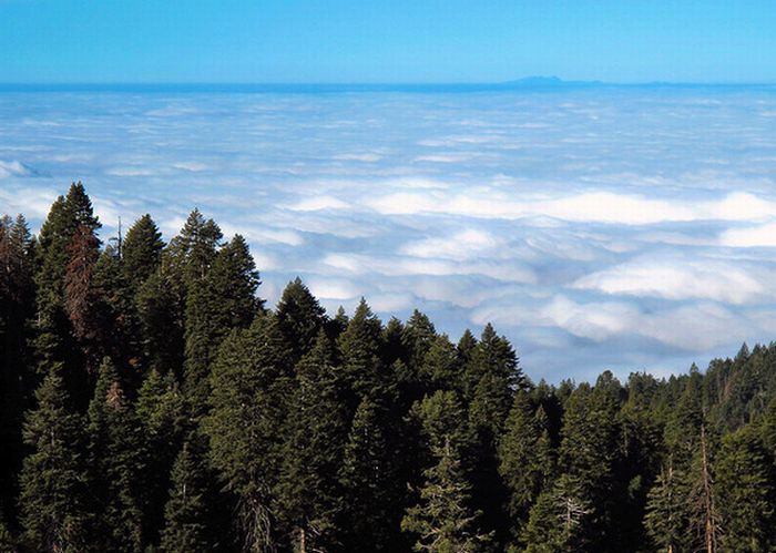 Amazing Places Above the Clouds (50 pics)