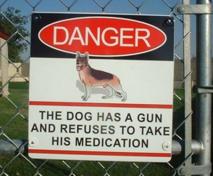 Funny Signs (35 pics)