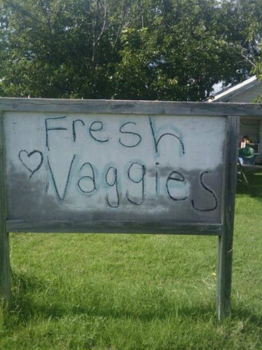 Funny Signs (35 pics)