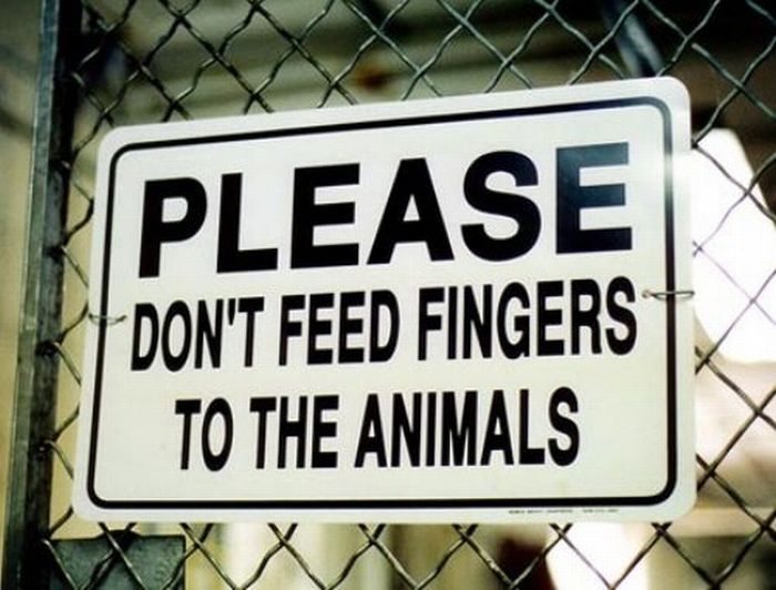 Funny Signs (35 pics)