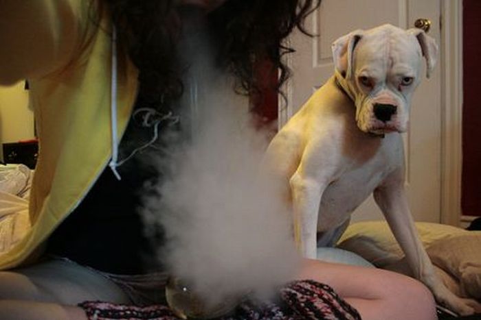 Acid Picdump (87 pics)