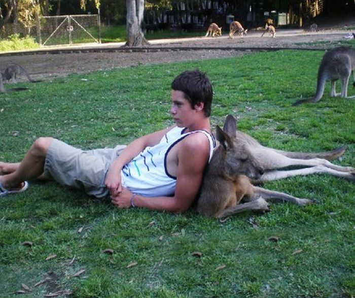 Acid Picdump (87 pics)