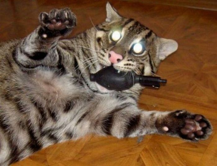 Acid Picdump (87 pics)